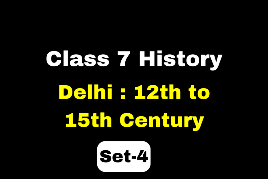 Class 7 History Chapter 3 Delhi : 12th to 15th Century MCQs