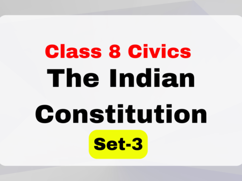 Class 8 SST Civics Chapter 1 The Indian Constitution MCQs Set-3