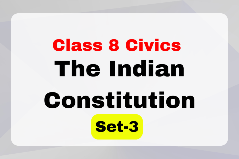 Class 8 SST Civics Chapter 1 The Indian Constitution MCQs Set-3