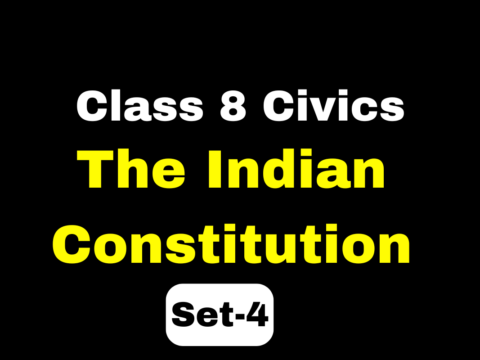 Class 8 SST Civics Chapter 1 The Indian Constitution MCQs