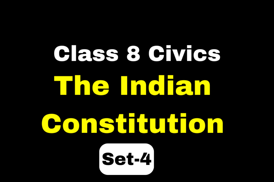 Class 8 SST Civics Chapter 1 The Indian Constitution MCQs