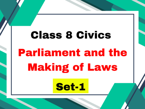 Class 8 SST Civics Chapter 3 Parliament and the Making of Laws MCQs