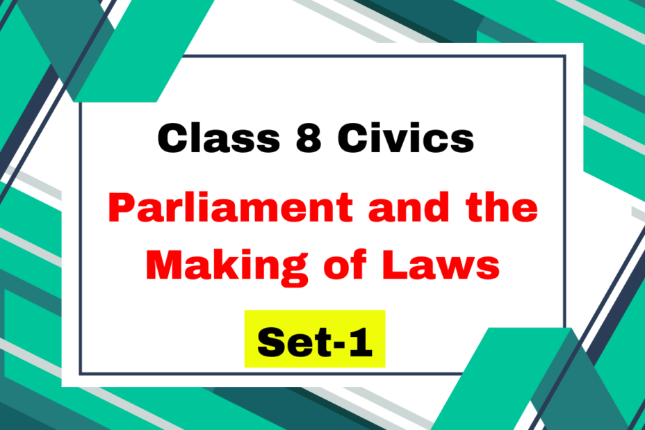 Class 8 SST Civics Chapter 3 Parliament and the Making of Laws MCQs