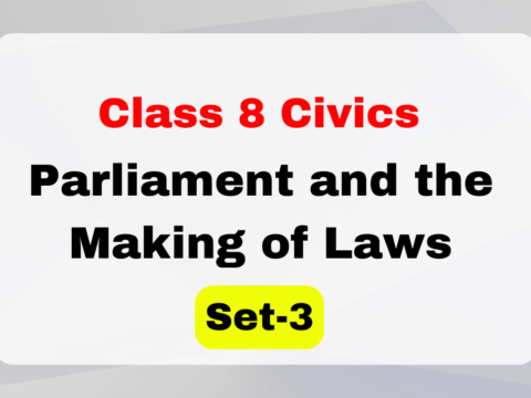 Class 8 SST Civics Chapter 3 Parliament and the Making of Laws MCQs