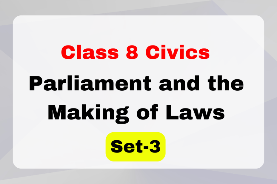 Class 8 SST Civics Chapter 3 Parliament and the Making of Laws MCQs