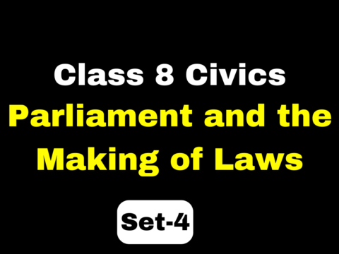 Class 8 SST Civics Chapter 3 Parliament and the Making of Laws MCQs