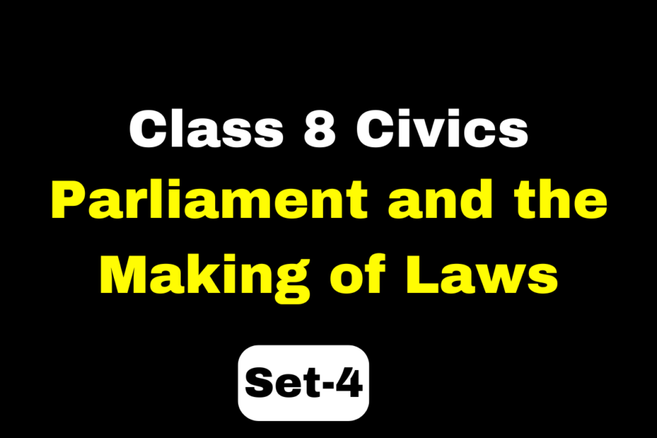 Class 8 SST Civics Chapter 3 Parliament and the Making of Laws MCQs