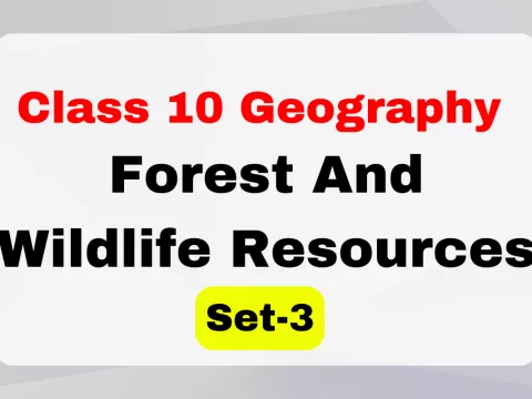 Class 10 SST Geography Chapter 2 Forest And Wildlife Resources MCQs Set-3