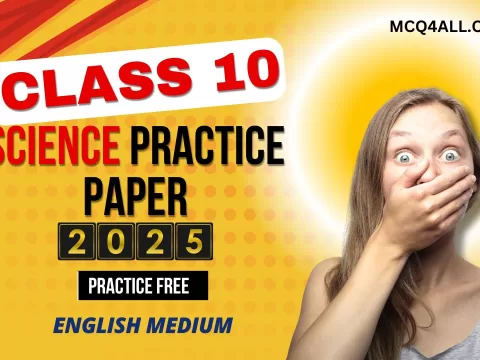 Class 10 practice paper 2025