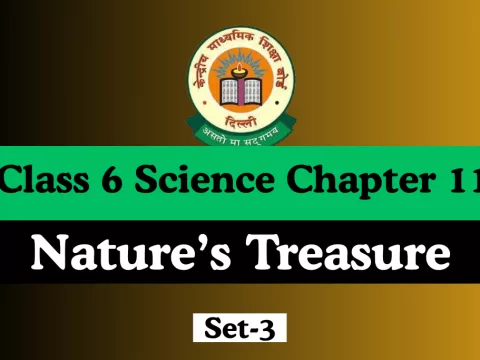 Class 6 Science Chapter 11 Nature’s Treasure Free Online MCQs Test