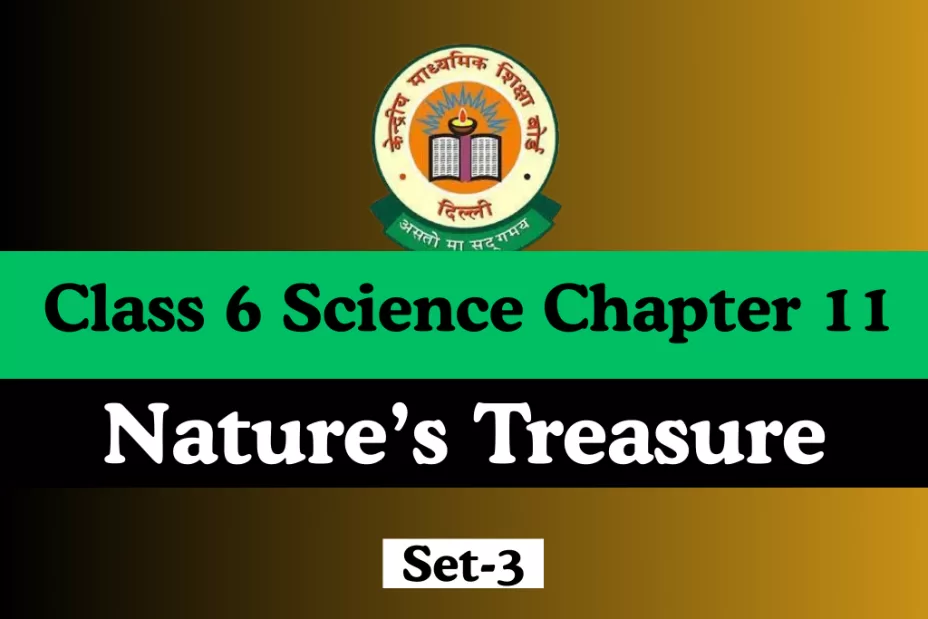 Class 6 Science Chapter 11 Nature’s Treasure Free Online MCQs Test Class 6 Science Chapter 11 Nature’s Treasure Free Online MCQs Test