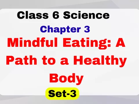 Mindful Eating: A Path to a Healthy Body Class 6 Science Chapter 3 MCQs Online Test