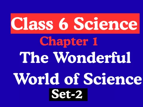 Class 6 Science Chapter 1 The Wonderful World of Science MCQs