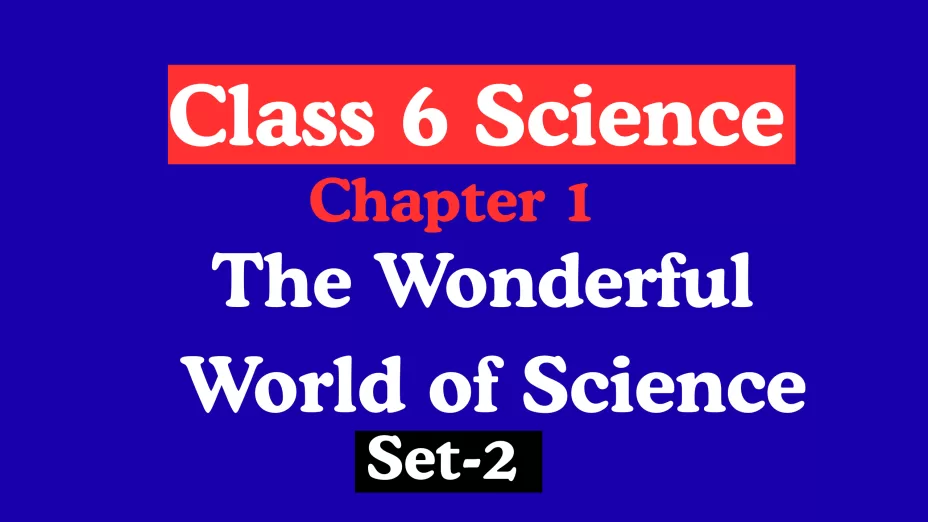 Class 6 Science Chapter 1 The Wonderful World of Science MCQs
