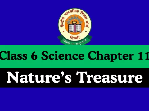 Class 6 Science Chapter 11 Nature’s Treasure MCQs Online Test- Free