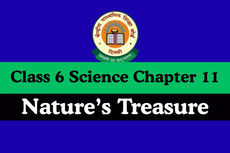 Class 6 Science Chapter 11 Nature’s Treasure MCQs Online Test- Free Class 6 Science Chapter 11 Nature’s Treasure MCQs Online Test- Free