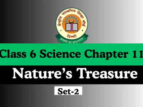 Class 6 Science Chapter 11 Nature’s Treasure With Free Online MCQs Test