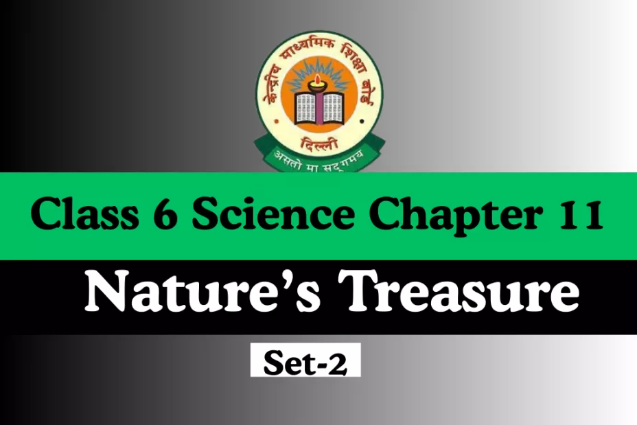 Class 6 Science Chapter 11 Nature’s Treasure With Free Online MCQs Test