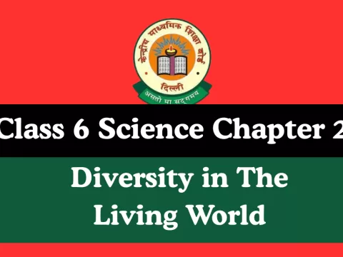Class 6 Science Chapter 2 Diversity in the Living World MCQs