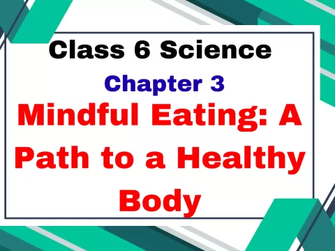 Class 6 Science Chapter 3 Mindful Eating A Path to a Healthy Body MCQs Online Test