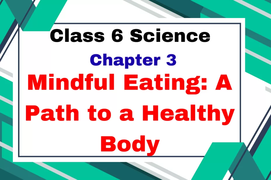 Class 6 Science Chapter 3 Mindful Eating A Path to a Healthy Body MCQs Online Test