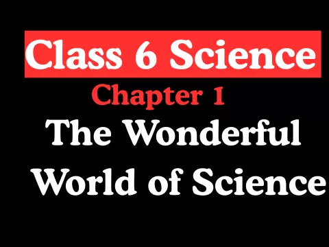Class 6 Science Chapter 1