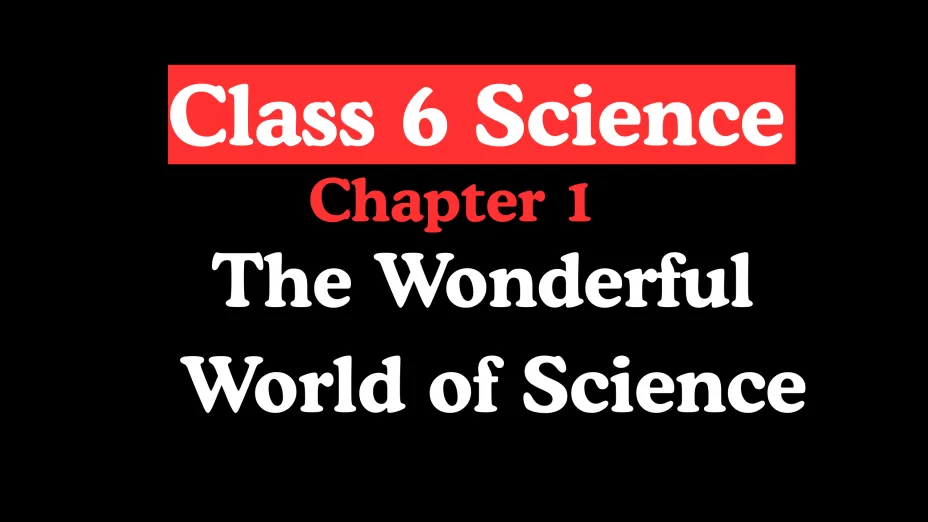 Class 6 Science Chapter 1