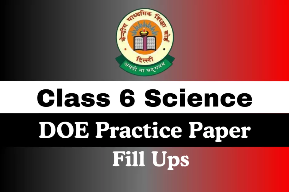 Class 6 Science DOE Practice Paper Annual Examination Fill Ups