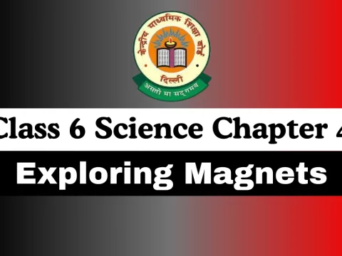 Class 6 Science Chapter 4: Exploring Magnets MCQs