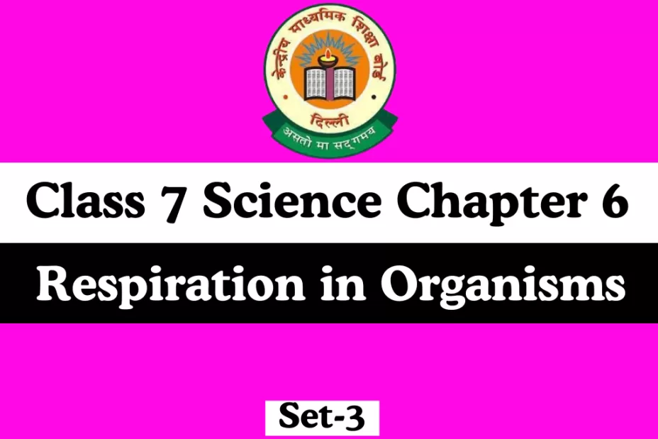Class 7 Science Chapter 6 Respiration in Organisms MCQ