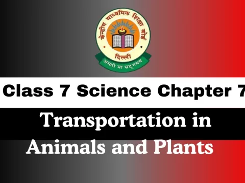 Class 7 Chapter 7 Transportation in Animals and Plants MCQs
