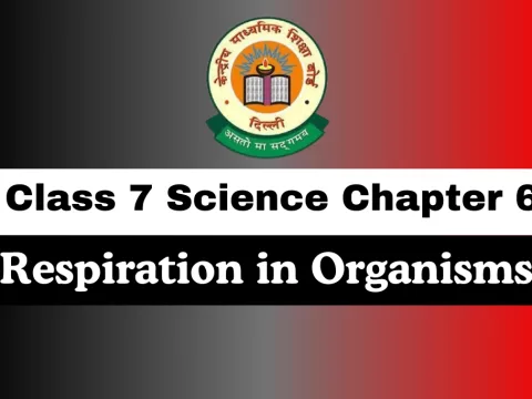 Class 7 Chapter 6 Respiration in Organisms MCQ