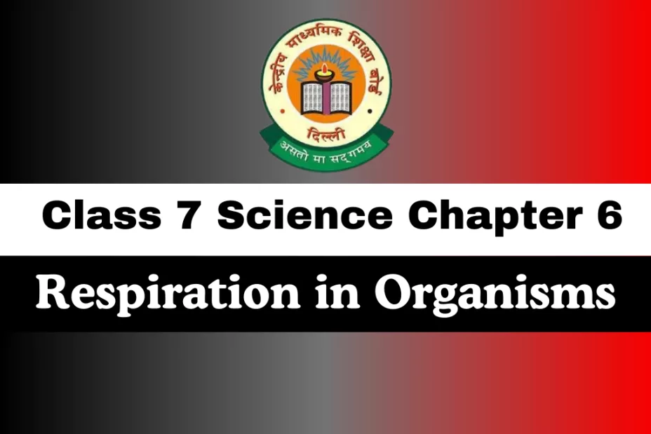 Class 7 Chapter 6 Respiration in Organisms MCQ