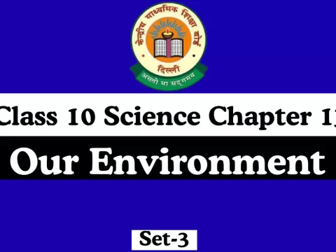 MCQs Online Test For Class 10 Science Chapter 13