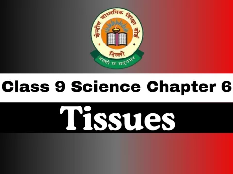Class 9 Science Chapter 6 Tissues MCQs Online Test – Complete Exam Preparation Class 9 Science Chapter 6 Tissues MCQs Online Test