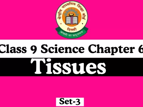 MCQs Online Test For Class 9 Science Chapter 6 MCQs Online Test For Class 9 Science Chapter 6