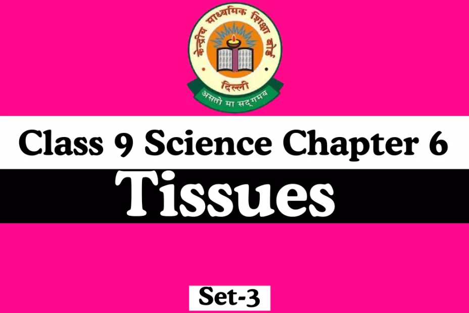 MCQs Online Test For Class 9 Science Chapter 6 MCQs Online Test For Class 9 Science Chapter 6