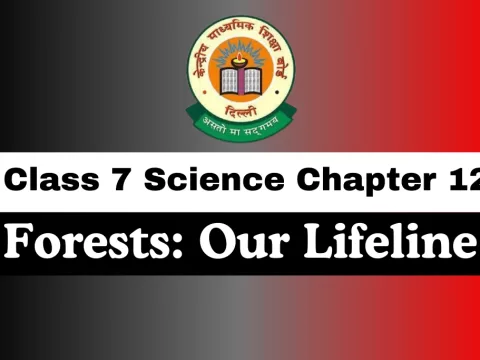 Class 7 Chapter 12 Forests: Our Lifeline MCQs