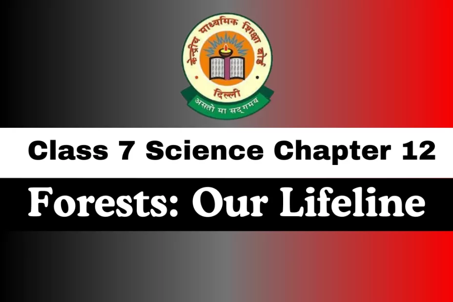 Class 7 Chapter 12 Forests: Our Lifeline MCQs Class 7 Chapter 12 Forests: Our Lifeline MCQs