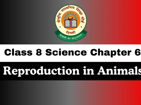 Class 8 Science Chapter 6 Reproduction in Animals MCQs Online Test