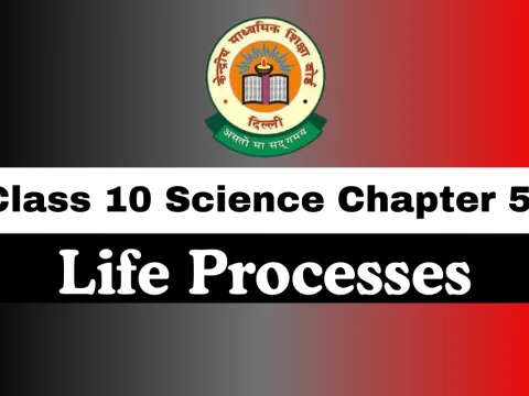 Class 10 Science Chapter 5 Life Processes MCQs Online Test