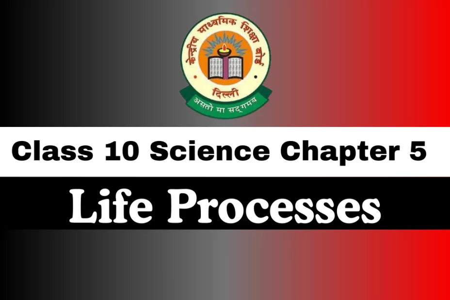 Class 10 Science Chapter 5 Life Processes MCQs Online Test