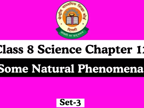MCQs Online Test For Class 8 Science Chapter 12