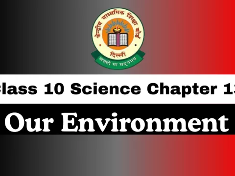 Class 10 Science Chapter 13 Our Environment MCQs Online Test