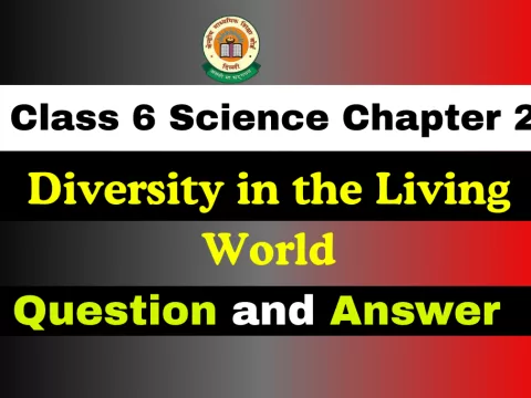 Full Questions with Answers Class 6 Chapter 2 – Diversity in the Living World