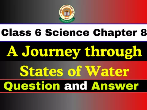 Question With Answer Class 6 Chapter 8
