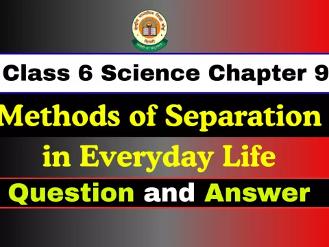Question With Answer Class 6 Chapter 9