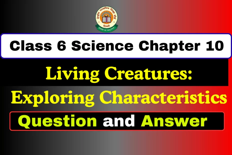 Question With Answer Class 6 Science Chapter 10 Question With Answer Class 6 Chapter 10
