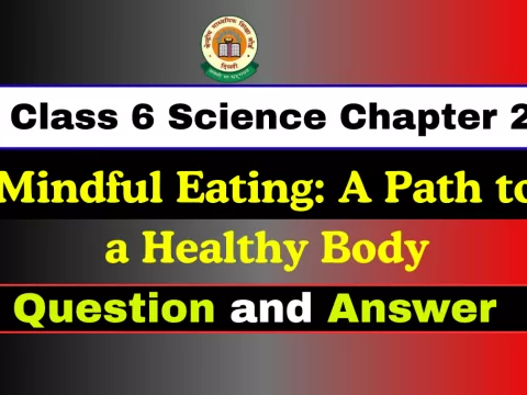 Full Questions with Answers Chapter 3 Class 6