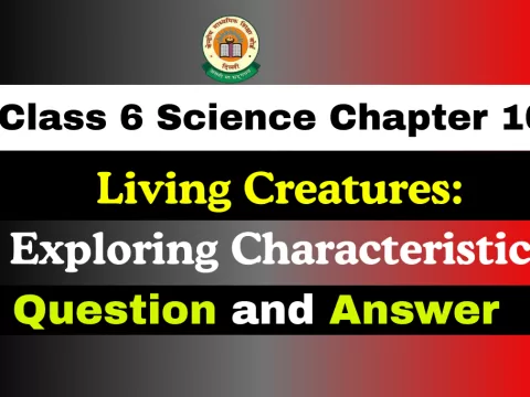 Question With Answer Class 6 Chapter 10